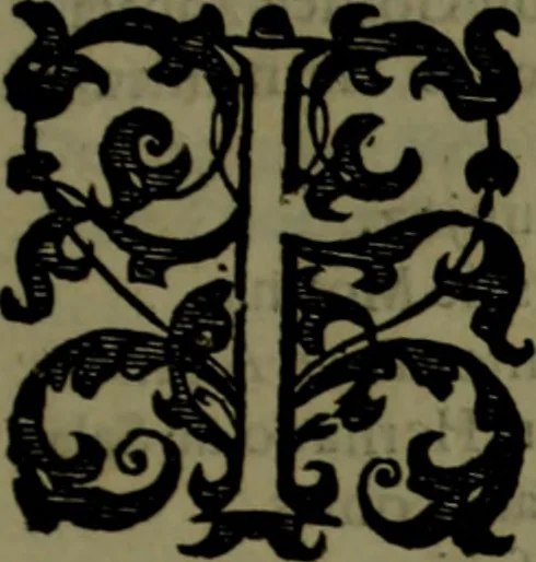 An illustration from Nieuvve vverelt, anders ghenaempt VVest-Indien, 1622, leaf 174
