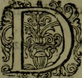 An illustration from Nieuvve vverelt, anders ghenaempt VVest-Indien, 1622, leaf 176