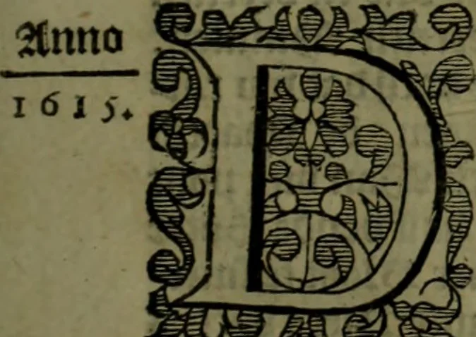 An illustration from Nieuvve vverelt, anders ghenaempt VVest-Indien, 1622, leaf 228
