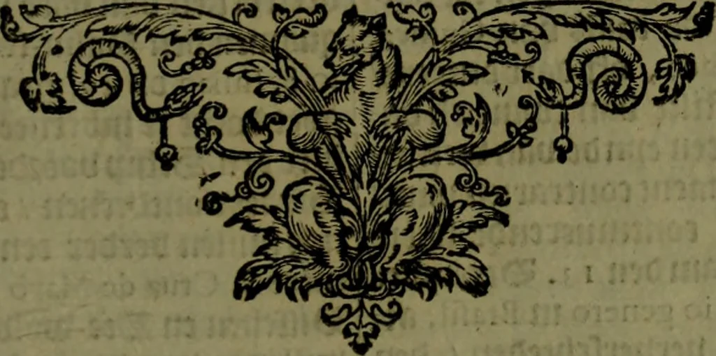 An illustration from Nieuvve vverelt, anders ghenaempt VVest-Indien, 1622, leaf 316