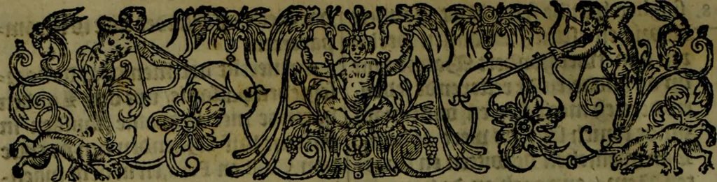 An illustration from Nieuvve vverelt, anders ghenaempt VVest-Indien, 1622, leaf 317