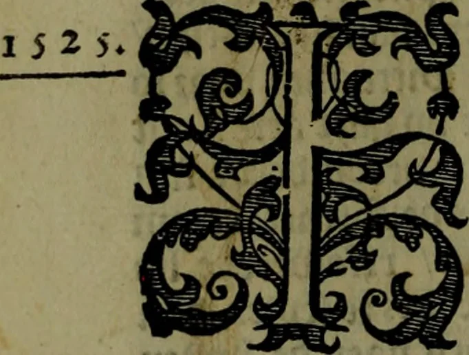 An illustration from Nieuvve vverelt, anders ghenaempt VVest-Indien, 1622, leaf 319