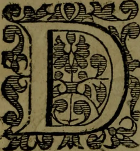 An illustration from Nieuvve vverelt, anders ghenaempt VVest-Indien, 1622, leaf 5