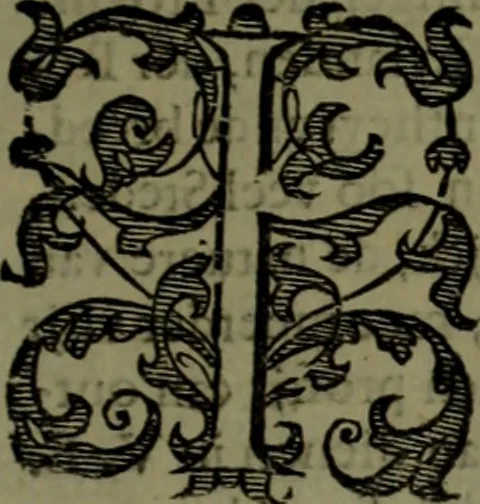 An illustration from Nieuvve vverelt, anders ghenaempt VVest-Indien, 1622, leaf 8