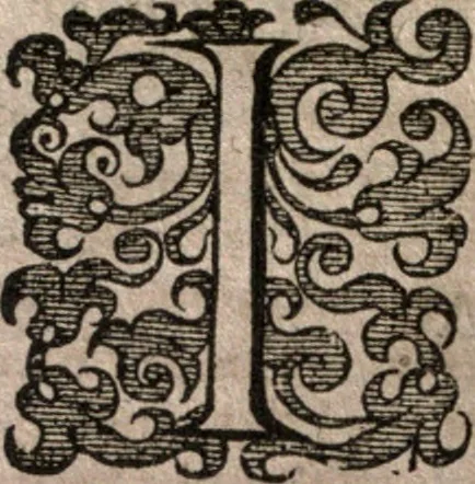 An illustration from Nieuvve wereldt, ofte, Beschrijvinghe van West-Indien : wt veelderhande schriften ende aen-teeckeninghen van verscheyden natien, 1625, leaf 105