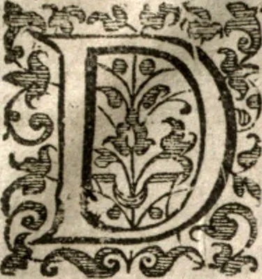 An illustration from Nieuvve wereldt, ofte, Beschrijvinghe van West-Indien : wt veelderhande schriften ende aen-teeckeninghen van verscheyden natien, 1625, leaf 12
