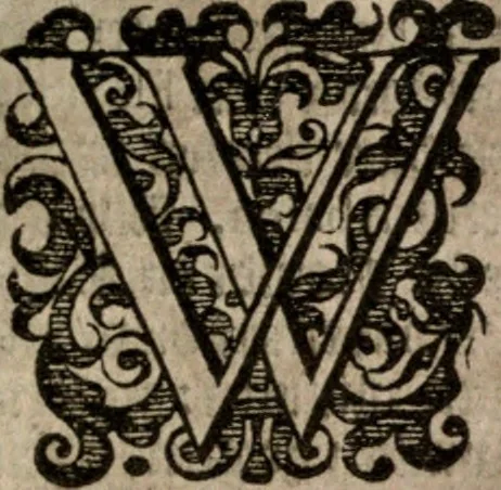 An illustration from Nieuvve wereldt, ofte, Beschrijvinghe van West-Indien : wt veelderhande schriften ende aen-teeckeninghen van verscheyden natien, 1625, leaf 144