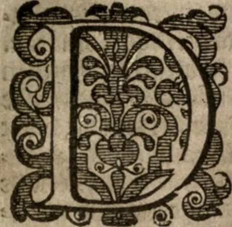 An illustration from Nieuvve wereldt, ofte, Beschrijvinghe van West-Indien : wt veelderhande schriften ende aen-teeckeninghen van verscheyden natien, 1625, leaf 216