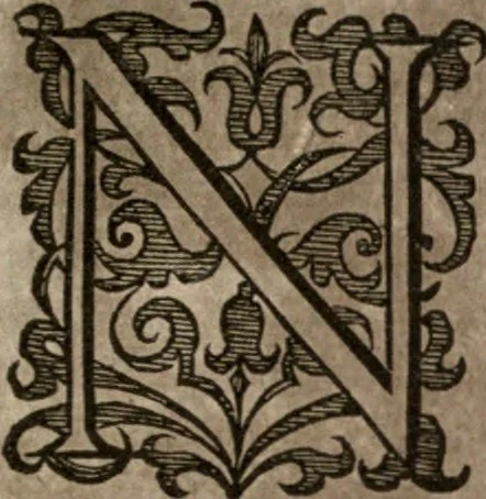 An illustration from Nieuvve wereldt, ofte, Beschrijvinghe van West-Indien : wt veelderhande schriften ende aen-teeckeninghen van verscheyden natien, 1625, leaf 258