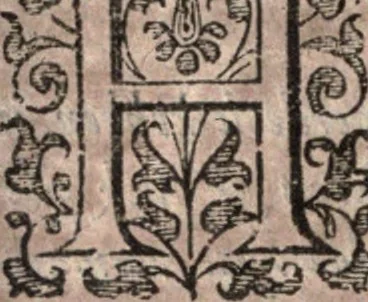 An illustration from Nieuvve wereldt, ofte, Beschrijvinghe van West-Indien : wt veelderhande schriften ende aen-teeckeninghen van verscheyden natien, 1625, leaf 289