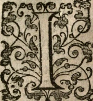 An illustration from Nieuvve wereldt, ofte, Beschrijvinghe van West-Indien : wt veelderhande schriften ende aen-teeckeninghen van verscheyden natien, 1625, leaf 316