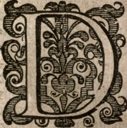 An illustration from Nieuvve wereldt, ofte, Beschrijvinghe van West-Indien : wt veelderhande schriften ende aen-teeckeninghen van verscheyden natien, 1625, leaf 32
