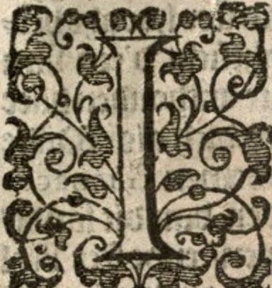 An illustration from Nieuvve wereldt, ofte, Beschrijvinghe van West-Indien : wt veelderhande schriften ende aen-teeckeninghen van verscheyden natien, 1625, leaf 342