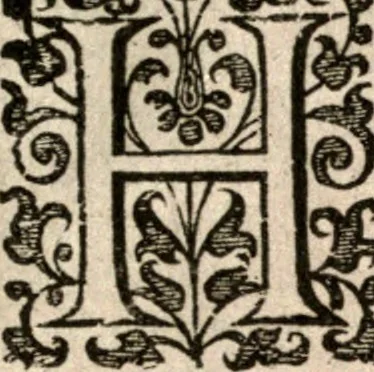 An illustration from Nieuvve wereldt, ofte, Beschrijvinghe van West-Indien : wt veelderhande schriften ende aen-teeckeninghen van verscheyden natien, 1625, leaf 404
