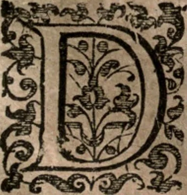 An illustration from Nieuvve wereldt, ofte, Beschrijvinghe van West-Indien : wt veelderhande schriften ende aen-teeckeninghen van verscheyden natien, 1625, leaf 450