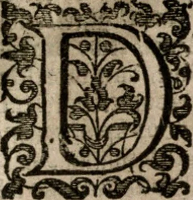 An illustration from Nieuvve wereldt, ofte, Beschrijvinghe van West-Indien : wt veelderhande schriften ende aen-teeckeninghen van verscheyden natien, 1625, leaf 472