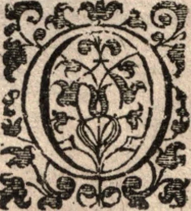 An illustration from Nieuvve wereldt, ofte, Beschrijvinghe van West-Indien : wt veelderhande schriften ende aen-teeckeninghen van verscheyden natien, 1625, leaf 519