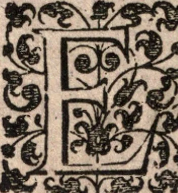 An illustration from Nieuvve wereldt, ofte, Beschrijvinghe van West-Indien : wt veelderhande schriften ende aen-teeckeninghen van verscheyden natien, 1625, leaf 559