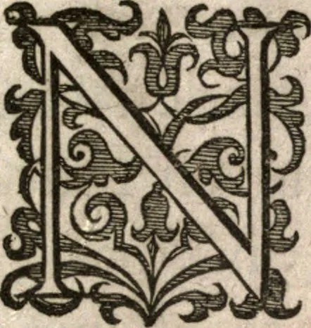 An illustration from Nieuvve wereldt, ofte, Beschrijvinghe van West-Indien : wt veelderhande schriften ende aen-teeckeninghen van verscheyden natien, 1625, leaf 6