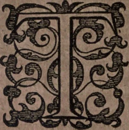 An illustration from Nieuvve wereldt, ofte, Beschrijvinghe van West-Indien : wt veelderhande schriften ende aen-teeckeninghen van verscheyden natien, 1625, leaf 69