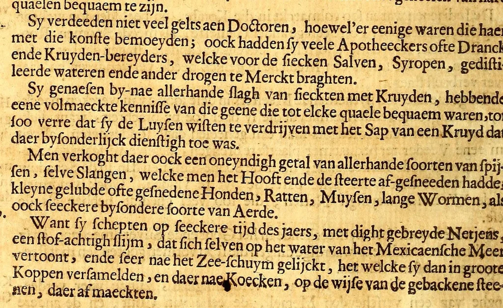 An illustration from Nieuwe ende seer naeuwkeurige reyse door de Spaensche West-Indien, 1682, leaf 110