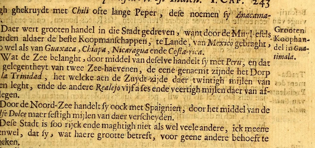 An illustration from Nieuwe ende seer naeuwkeurige reyse door de Spaensche West-Indien, 1682, leaf 285