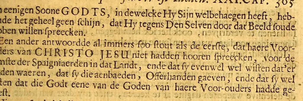 An illustration from Nieuwe ende seer naeuwkeurige reyse door de Spaensche West-Indien, 1682, leaf 413