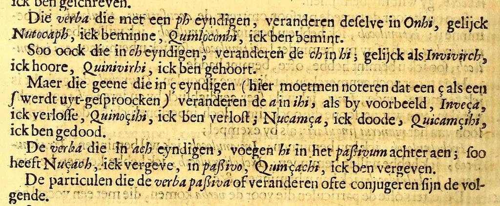 An illustration from Nieuwe ende seer naeuwkeurige reyse door de Spaensche West-Indien, 1682, leaf 492