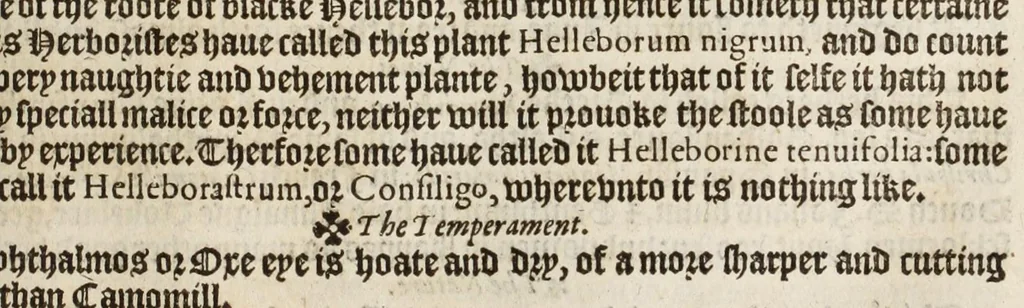 An illustration from A nievve herball, or historie of plantes : wherin is contayned the vvhole discourse and perfect description of all sortes of herbes and plantes, their diuers & sundry kindes, their straunge figures, fashions, and shapes, their names, natures, operations and vertues : and that not onely of those whiche are here growyng in this our countrie of Englande, but of all others also of forrayne realmes, common vsed in physicke, 1578, leaf 217