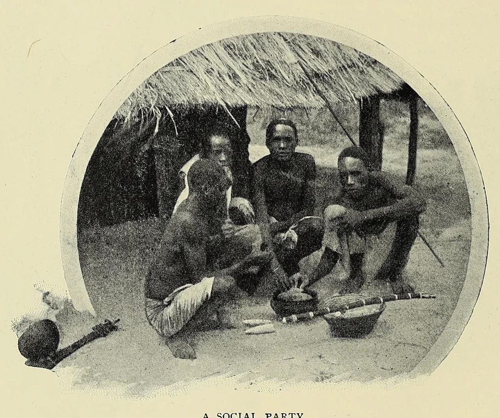 An illustration from Night and morning in dark Africa, 1902, leaf 118