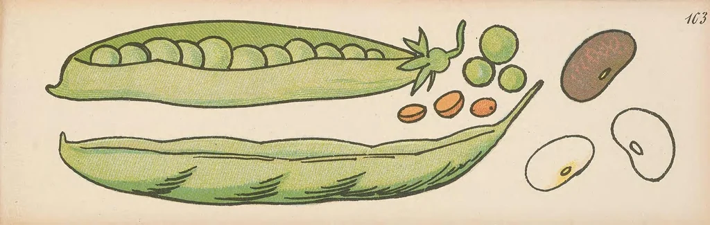 An illustration from Nimm mich mit! : Ein lehrreiches Bilderbuch, leaf 109