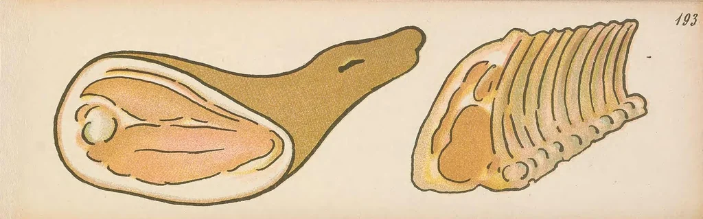 An illustration from Nimm mich mit! : Ein lehrreiches Bilderbuch, leaf 199