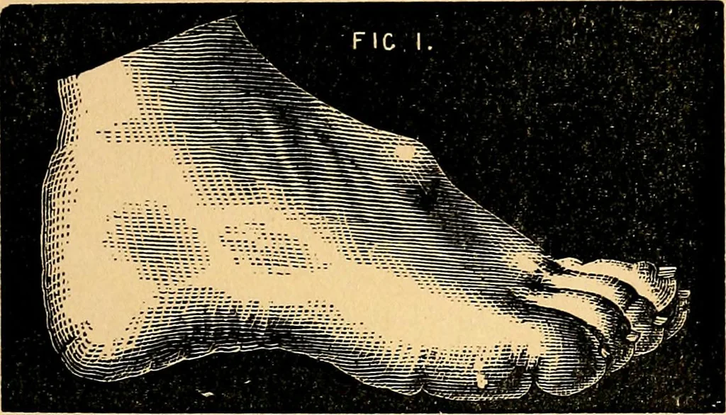 An illustration from Nineteenth century miracles; or spirits and their work in every country of the earth. A complete historical compendium of the great movement known as "modern spiritualism.", 1883, leaf 244