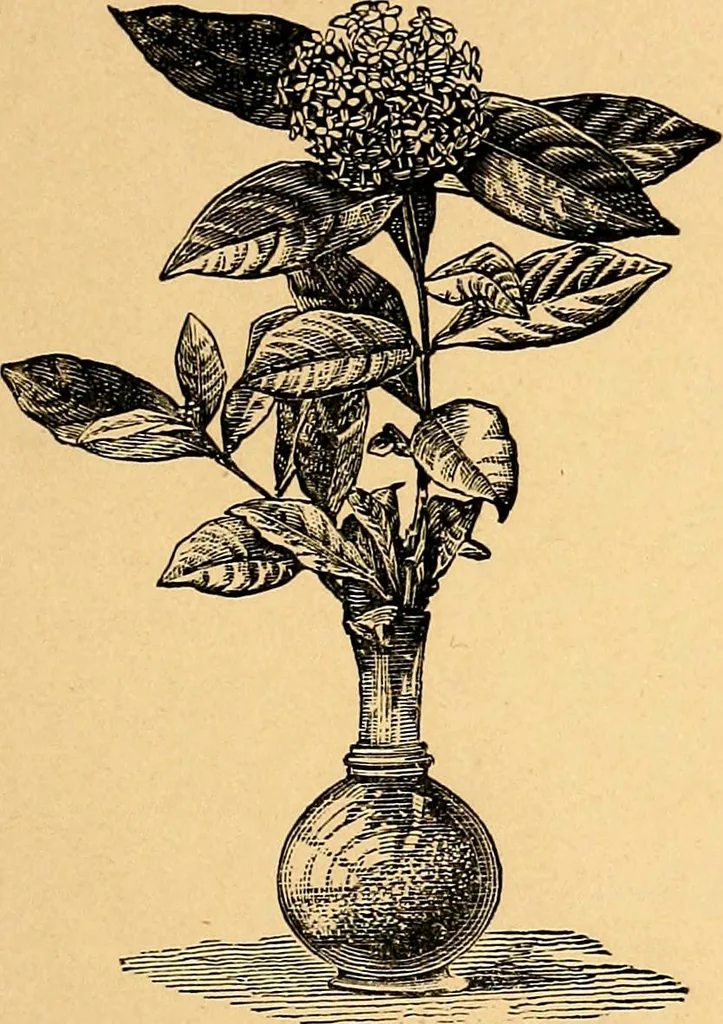 An illustration from Nineteenth century miracles; or spirits and their work in every country of the earth. A complete historical compendium of the great movement known as "modern spiritualism.", 1883, leaf 246