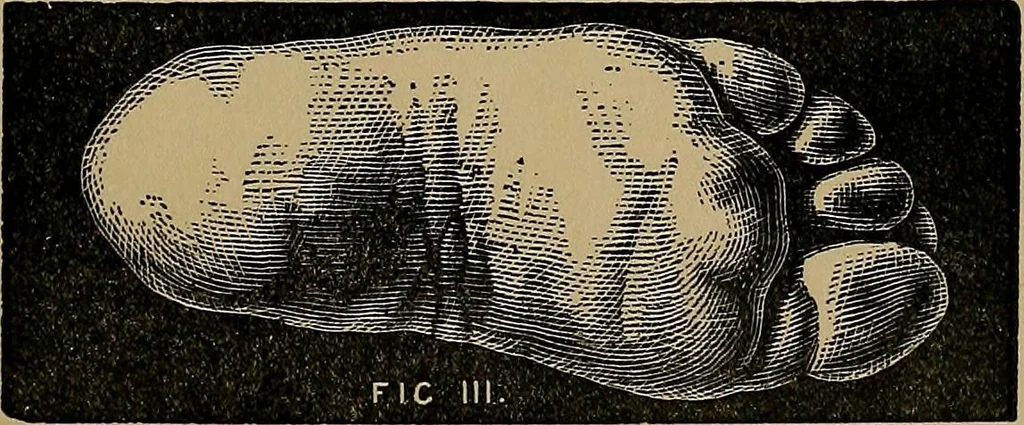 An illustration from Nineteenth century miracles, or, Spirits and their work in every country of the earth : a complete historical compendium of the great movement known as "modern spiritualism", 1884, leaf 248
