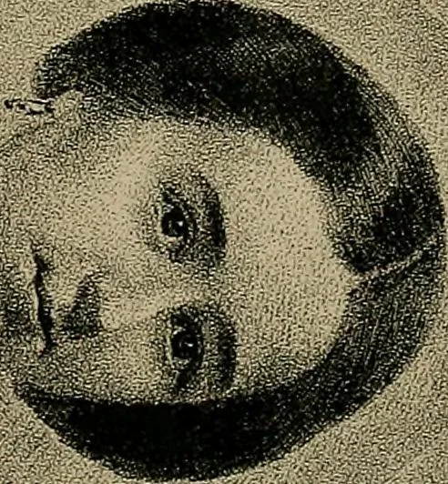 An illustration from Nineteenth century miracles, or, Spirits and their work in every country of the earth : a complete historical compendium of the great movement known as "modern spiritualism", 1884, leaf 638