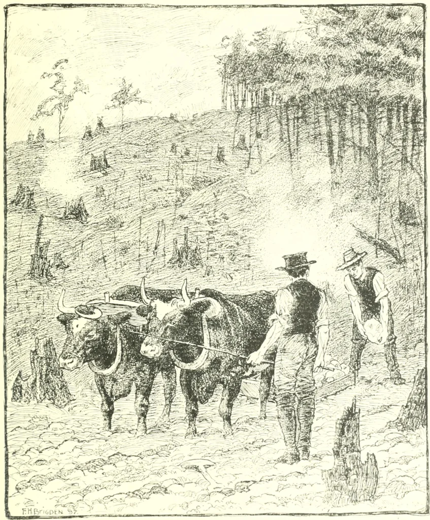 An illustration from Ninety-eight : a calendar for the year 1898; with some drawings suggestive of the everyday life of the past in Canada, 1898, leaf 24