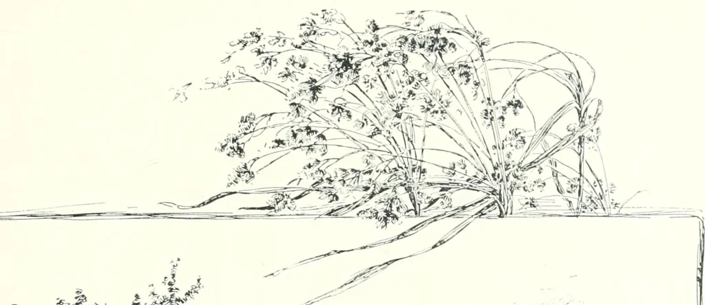 An illustration from Ninety-five : a calendar for the year MDCCCXCV; with some selections from Canadian writers and drawings by members of the Toronto Art Students' League, 1895, leaf 10
