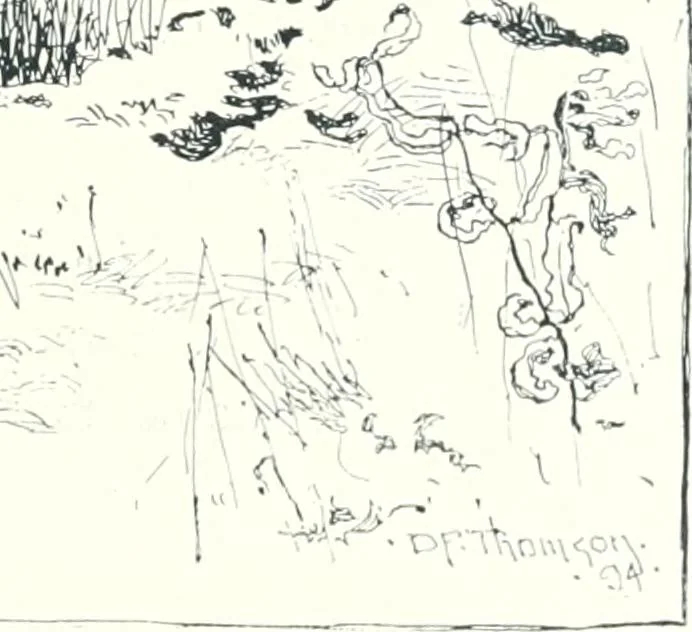 An illustration from Ninety-five : a calendar for the year MDCCCXCV; with some selections from Canadian writers and drawings by members of the Toronto Art Students' League, 1895, leaf 22