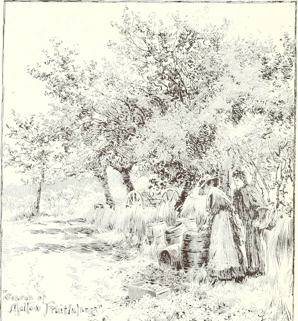 An illustration from Ninety-four : a calendar for the year of Our Lord MDCCCXCIV; with verses by some of the Canadian writers of verse and drawings by members of the Toronto Art Students' League, 1894, leaf 31