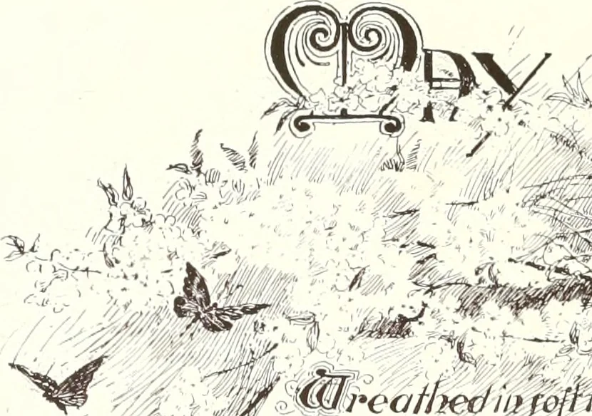 An illustration from Ninety-four : a calendar for the year of Our Lord MDCCCXCIV; with verses by some of the Canadian writers of verse and drawings by members of the Toronto Art Students' League, 1894, leaf 9