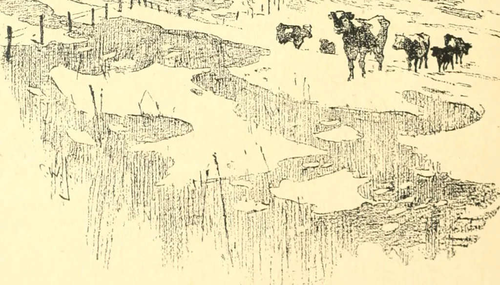 An illustration from Ninety-nine : a calendar for the year 1899; with drawings illustrative of country life in Canada, 1899, leaf 11