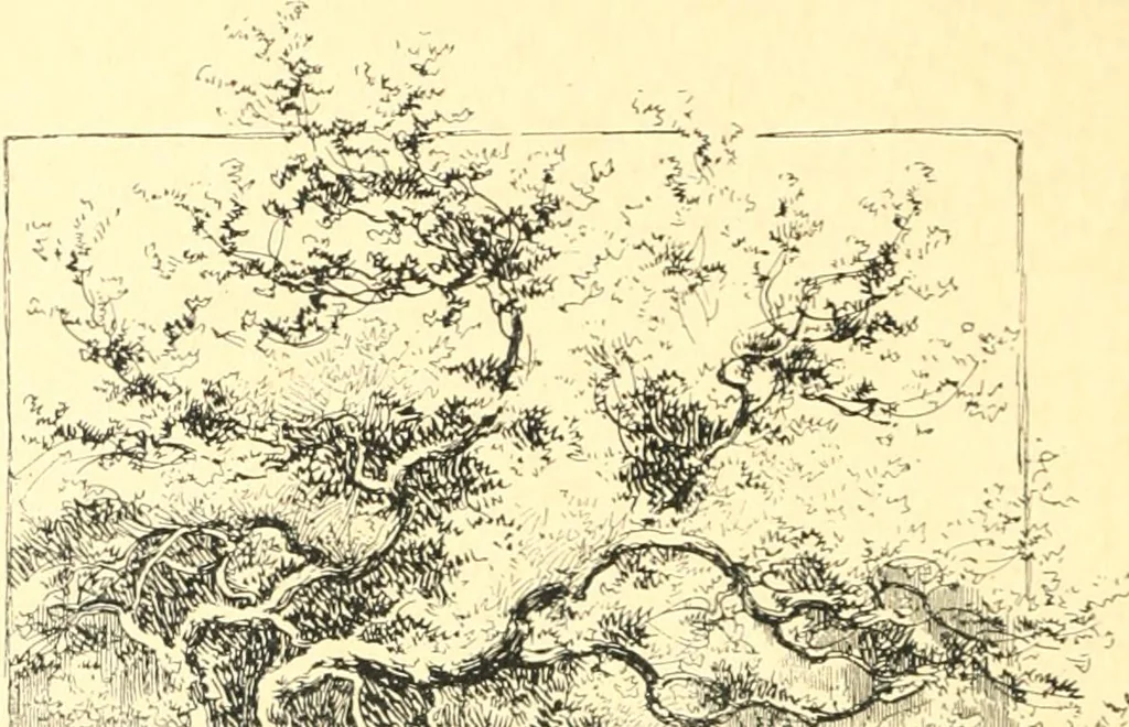 An illustration from Ninety-nine : a calendar for the year 1899; with drawings illustrative of country life in Canada, 1899, leaf 21