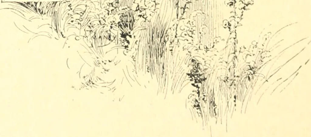 An illustration from Ninety-nine : a calendar for the year 1899; with drawings illustrative of country life in Canada, 1899, leaf 21