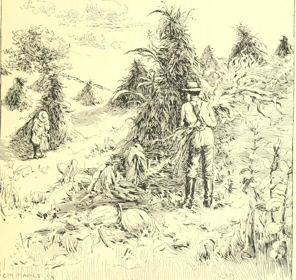 An illustration from Ninety-nine : a calendar for the year 1899; with drawings illustrative of country life in Canada, 1899, leaf 22