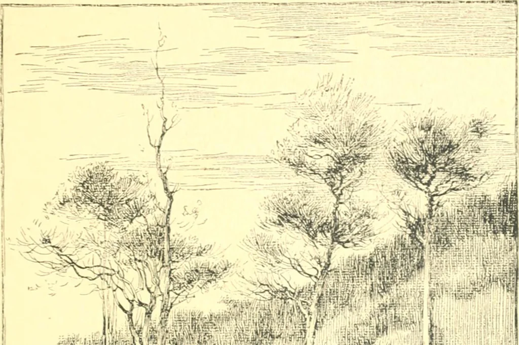 An illustration from Ninety-nine : a calendar for the year 1899; with drawings illustrative of country life in Canada, 1899, leaf 24