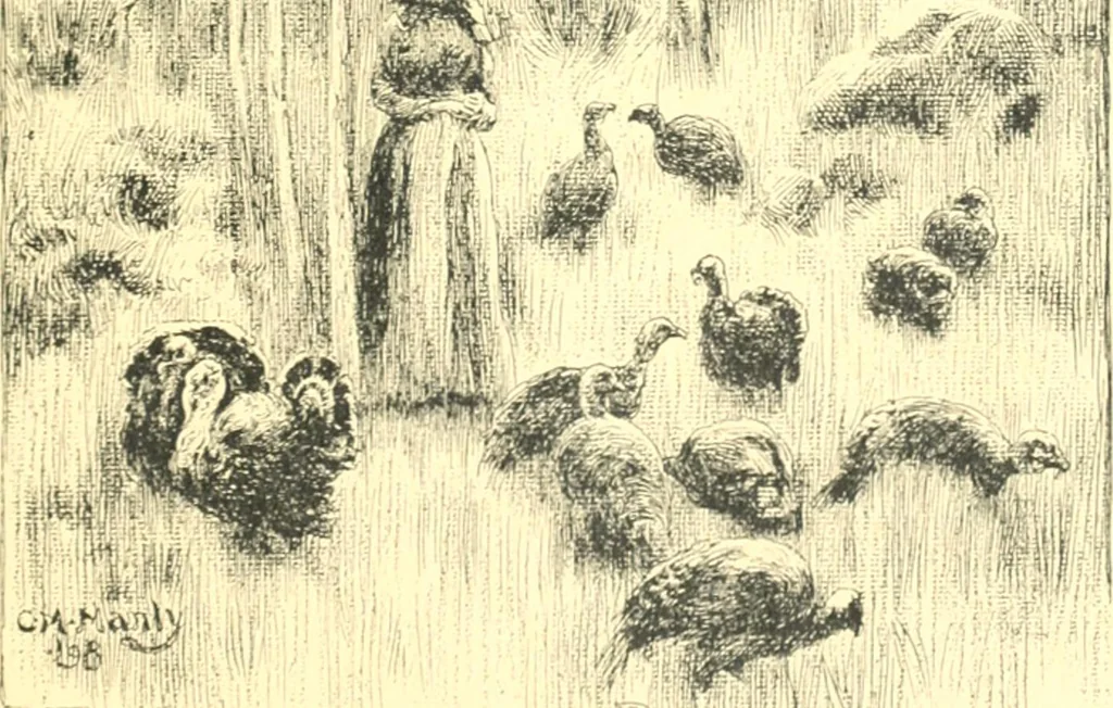 An illustration from Ninety-nine : a calendar for the year 1899; with drawings illustrative of country life in Canada, 1899, leaf 24