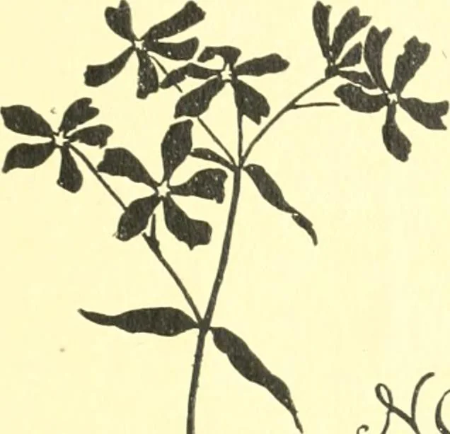 An illustration from Ninety-nine : a calendar for the year 1899; with drawings illustrative of country life in Canada, 1899, leaf 28