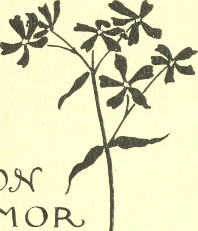 An illustration from Ninety-nine : a calendar for the year 1899; with drawings illustrative of country life in Canada, 1899, leaf 28