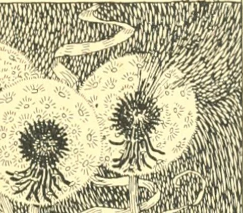 An illustration from Ninety-nine : a calendar for the year 1899; with drawings illustrative of country life in Canada, 1899, leaf 4